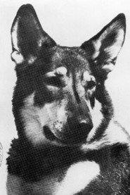 London as Duke, the Dog (uncredited) in The Beast with a Million Eyes 1955