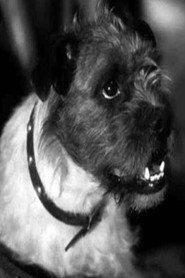Zero the Dog as Zero in Law of the Timber 1941