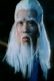 Sam Ching-Wai as in Kung Fu Wonder Child 1986