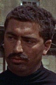 Peter Brayham as in Greatest Ever Screen Chases 2005