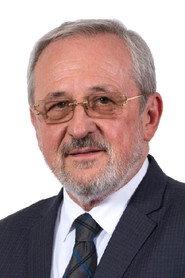 Ivica Šarić as Himself in Kraut from Sarajevo 2018