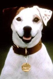 Soccer the Dog as Self (archive) in What's the Story, Wishbone? 2026