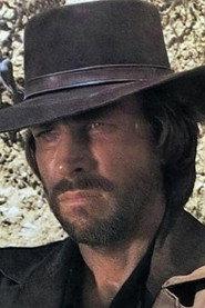 Lincoln Tate as Link Connelly in On the Third Day Arrived the Crow 1973