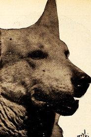 Lightning the German Shepherd as Lightning - the Dog in Two in Revolt 1936