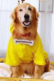 Junior as Entertainment in It's Entertainment 2014