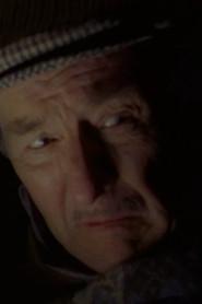 Michael Polley as Cab Driver in Goosebumps: A Night in Terror Tower 1996