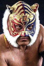 Yoshihiro Yamazaki as Tiger Mask IV in NJPW Dominion 6.11 in Osaka-jo Hall 2017