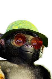 Kev as le saïmiri 2 in Jungle Race 2025
