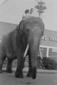 Charlie the Elephant as As Himself in A Monkey Hero 1921