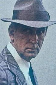 Slobodan Aligrudić as Direktor hotela II in And God Created a Tavern Singer 1972