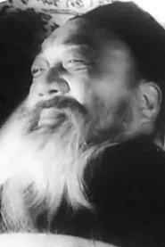 Juefei Shi as in Robbers from Shandong 1927