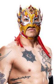 Rey Fénix as Rey Fenix in AEW Fight for the Fallen 2019 2019
