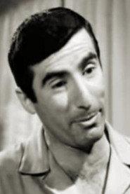 Tasos Giannopoulos as Evangelos Fanouridis in The Woman Driver 1964