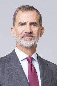 Felipe VI as in Espagne. Le crepuscule d'un Roi 2013