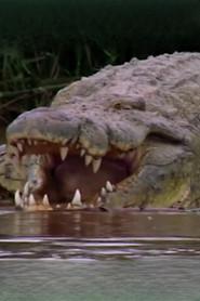 Gustave the Crocodile as Self in Capturing the Killer Croc 2004