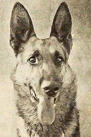 Thunder the Dog as Thunder in The Silent Avenger 1927