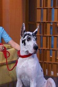 Bing as Apollo in The Friend 2025