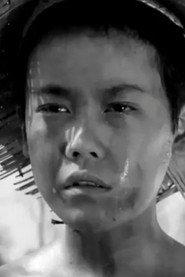 Qiding Yu as 小猪倌 in Bao feng zhou yu 1961