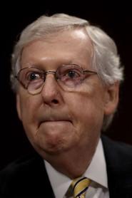 Mitch McConnell as Self in Man In The Arena 2020