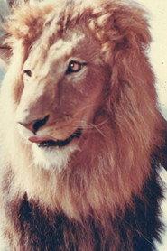 Zamba as King in The Lion 1962
