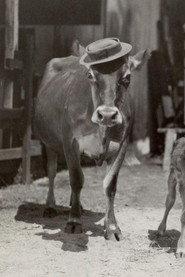 Brown Eyes as Herself in Go West 1925