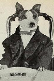 Brownie the Wonder Dog as Brownie in Society Dogs 1921
