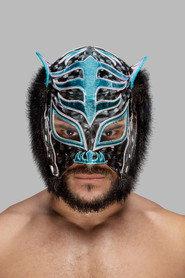 José Cordero as Lince Dorado in EVOLVE 26 2014