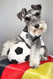 Montgomery Von Schnauz as Monty in Business Men 2026