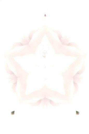 Flower of Flesh, Celestial Body (2023) poster