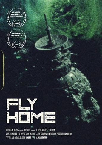 Fly Home (2021) poster