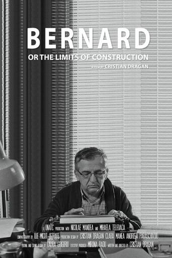 Bernard or the Limits of Construction (2016) poster