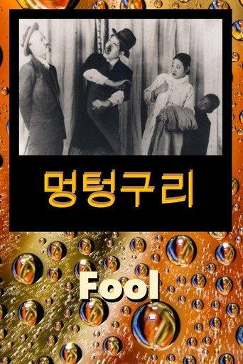 Fool (1926) poster