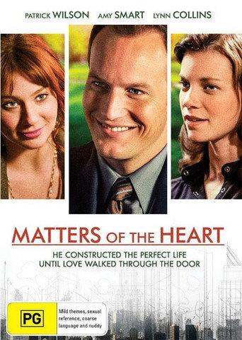 Life in Flight (2010) poster