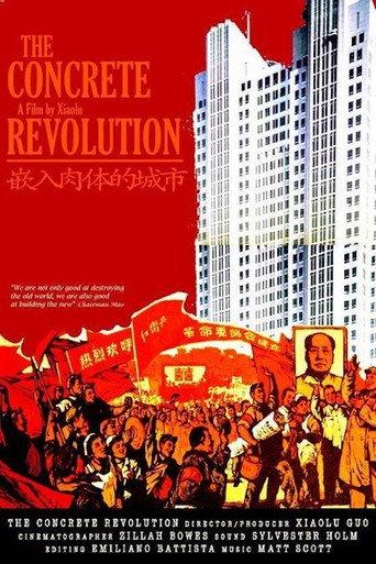 The Concrete Revolution (2004) poster
