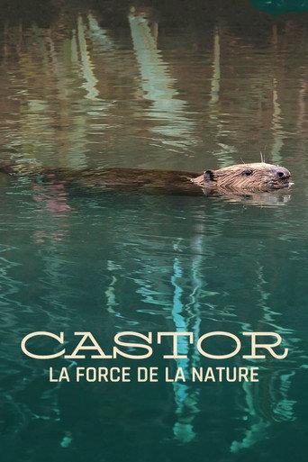 Castor, la force de la nature (2023) poster