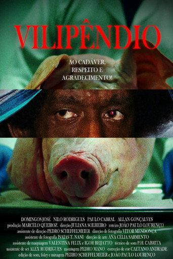 Vilipêndio (2025) poster