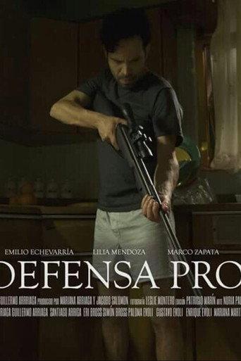 In Self Defense (2015) poster