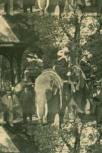 Zoological Gardens (1896) poster