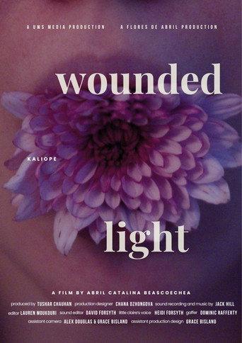 Wounded Light () poster