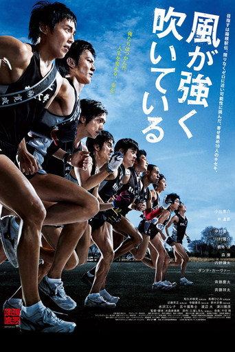 Feel the Wind (2009) poster