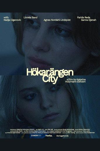 Hökarängen City () poster