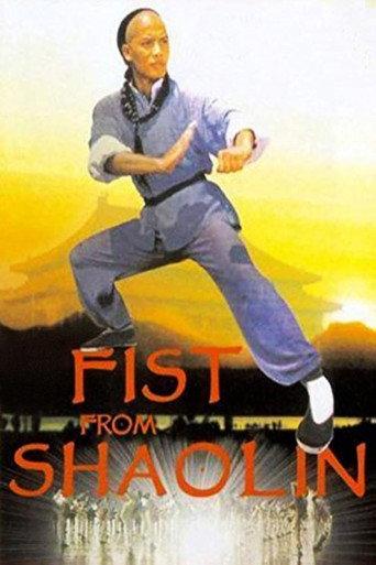 Fist from Shaolin (1993) poster