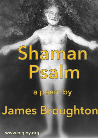 Shaman Psalm (1981) poster