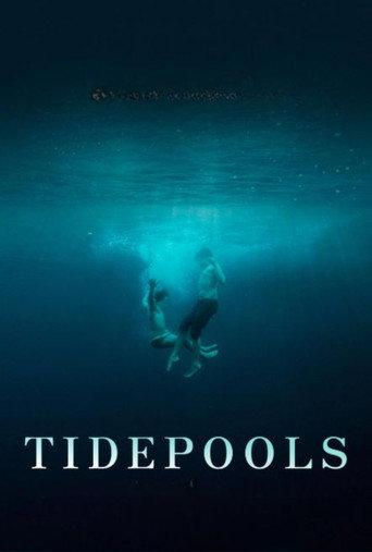 Tidepools () poster