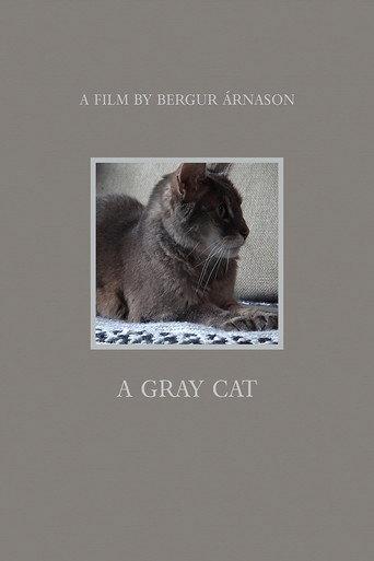 A Gray Cat (2021) poster