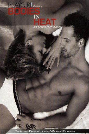 Playgirl: Bodies in Heat (2006) poster