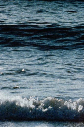 Red Sea (1982) poster