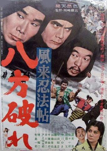 風来忍法帖 八方破れ (1968) poster