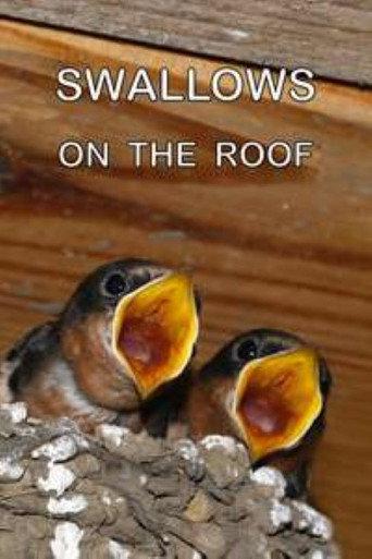 Swallows on the Roof (2002) poster