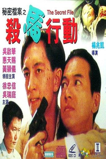 The Secret File (1993) poster